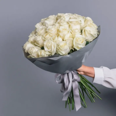 Белые розы «Серебряное сияние»